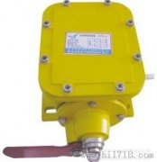 JHSL-A、JHSL-B縱向撕裂保護(hù)開關(guān)廠家直銷